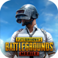 pubg手游国际服下载-pubg手游国际服最新版下载v0.9.5.29