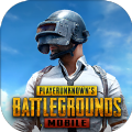 pubg国际服地铁逃生手游下载最新版-pubg国际服地铁逃生手游下载最新版安卓版v0.9.5.29